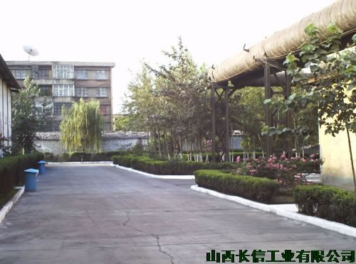 隨處可見(jiàn)的綠化帶